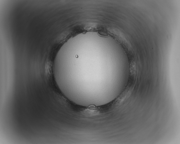 X0000101450280200807211319