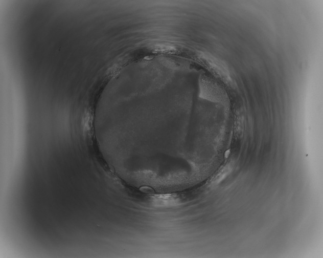 X0000101450281200807211319