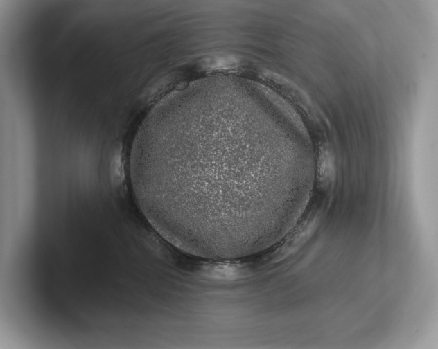 X0000101450282200807211319