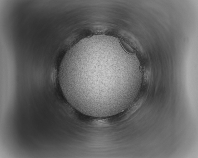 X0000101450283200807211319