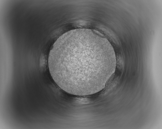 X0000101450284200807211319