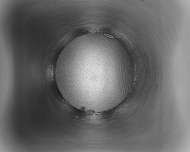 X0000101450288200807211319