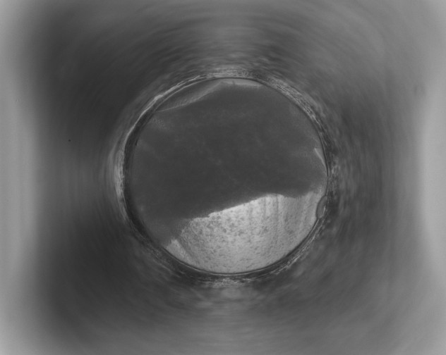 X0000101450290200807211318