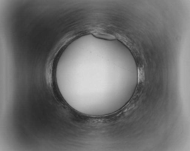 X0000101450291200807211318