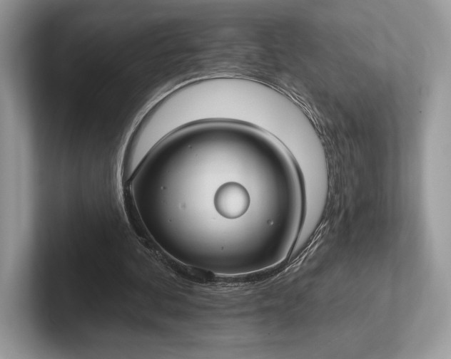 X0000101450292200807211318