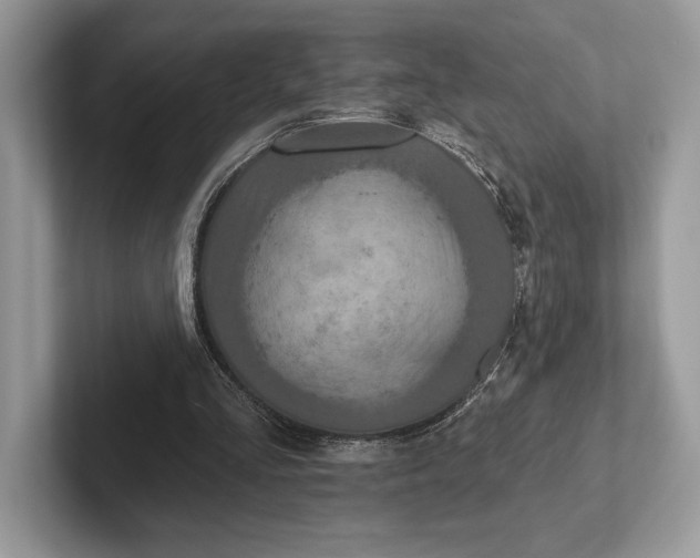 X0000101450293200807211318