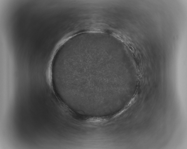 X0000101450294200807211318