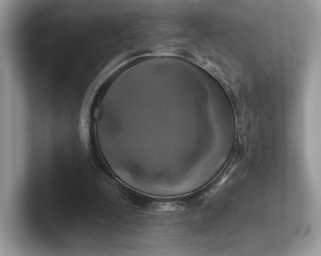 X0000101450295200807211318