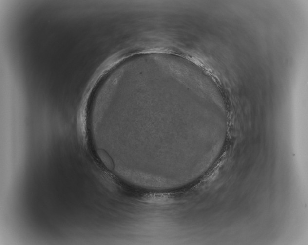 X0000101450296200807211318