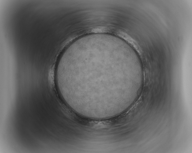 X0000101450297200807211318