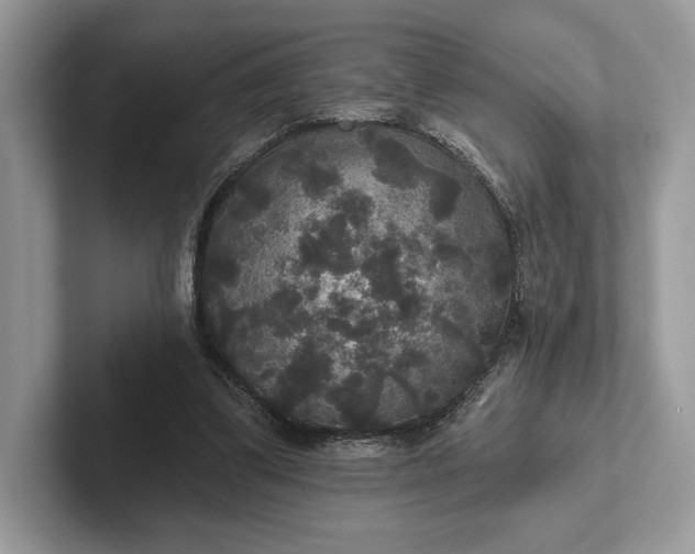 X0000101450299200807211318