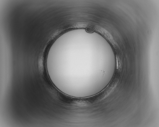 X0000101450300200807211318