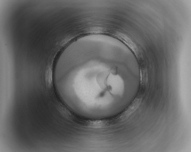 X0000101450301200807211318