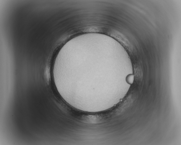 X0000101450302200807211318