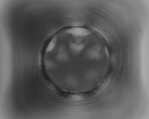 X0000101450303200807211318