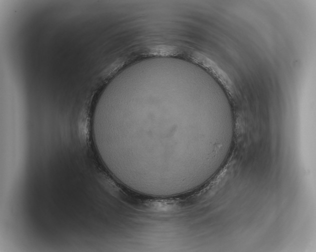 X0000101450305200807211318