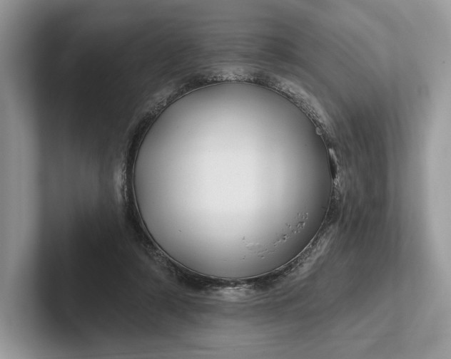 X0000101450306200807211318