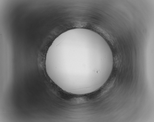 X0000101450307200807211318