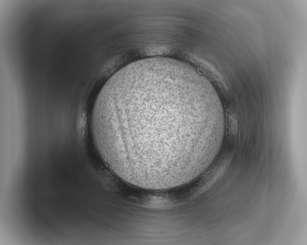 X0000101450308200807211318