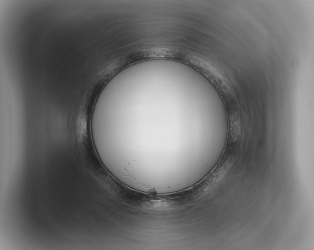 X0000101450310200807211318