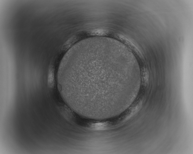 X0000101450312200807211318