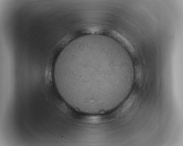 X0000101450313200807211318