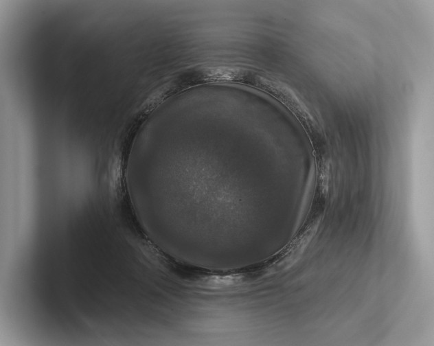 X0000101450314200807211318