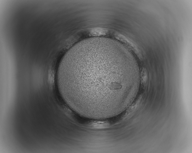 X0000101450315200807211318