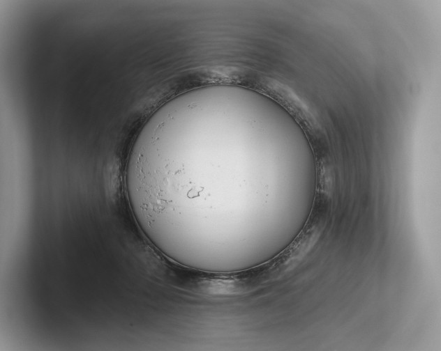 X0000101450318200807211318