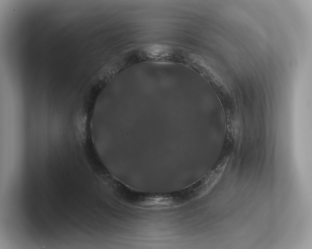 X0000101450319200807211318