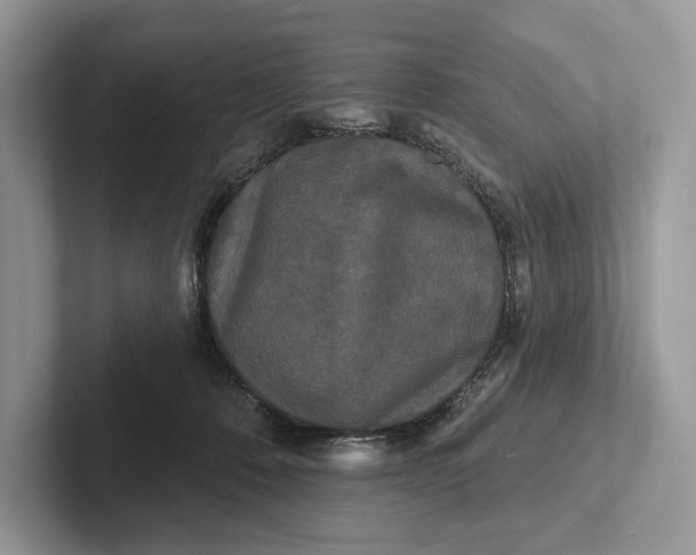 X0000101450320200807211318