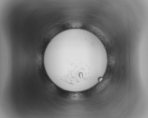 X0000101450321200807211318