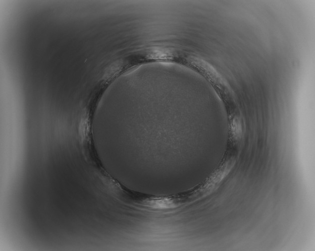 X0000101450322200807211318