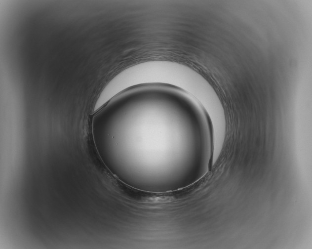 X0000101450323200807211318