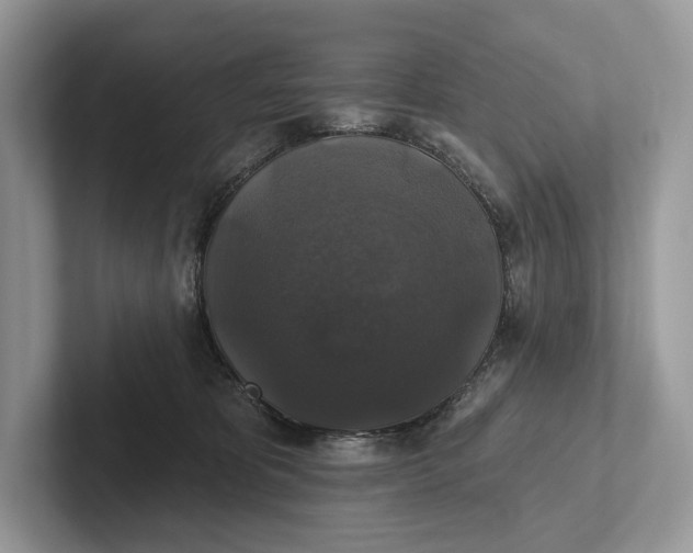 X0000101450325200807211318