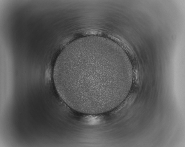 X0000101450326200807211318