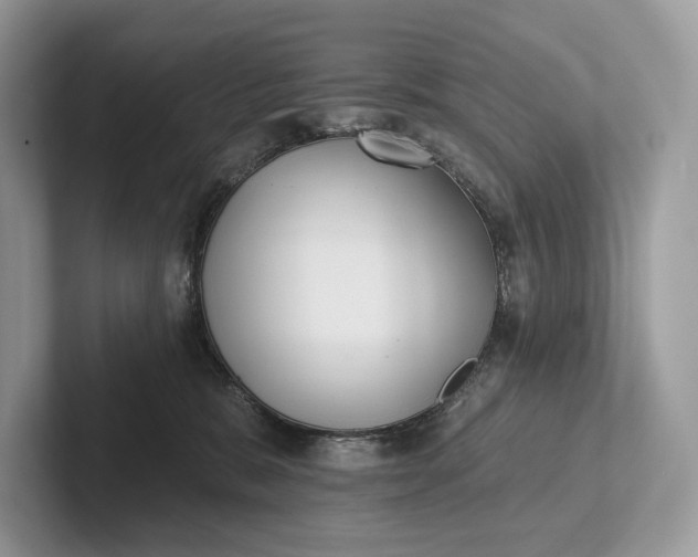 X0000101450327200807211318