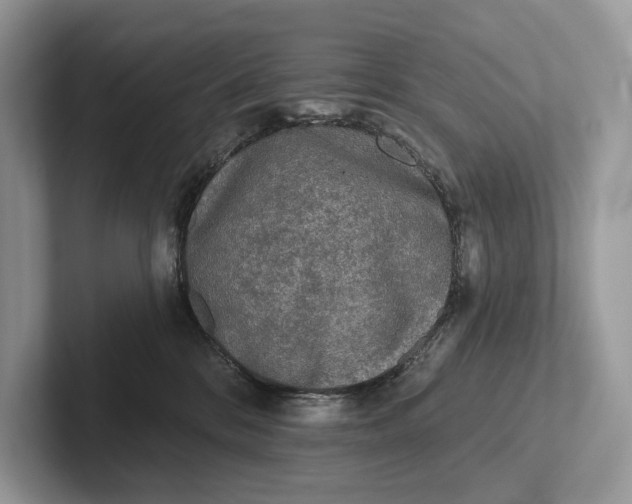 X0000101450328200807211318