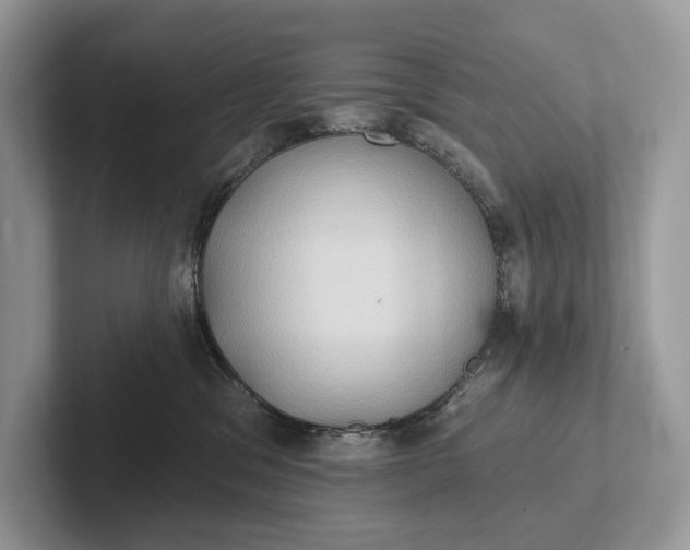 X0000101450329200807211318