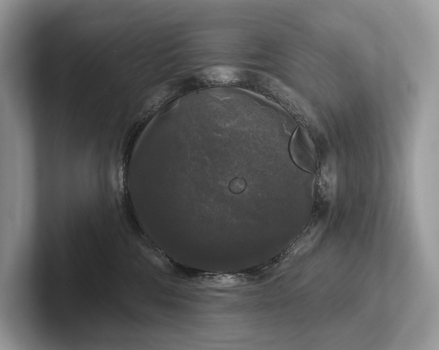 X0000101450330200807211318