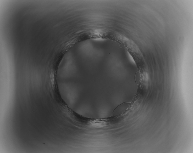 X0000101450331200807211318