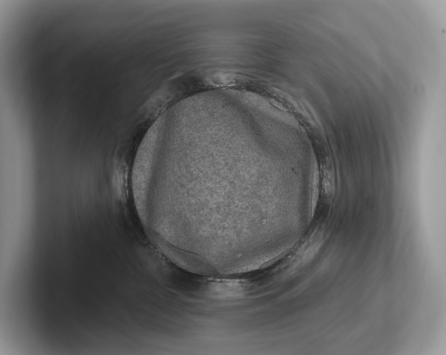 X0000101450332200807211318