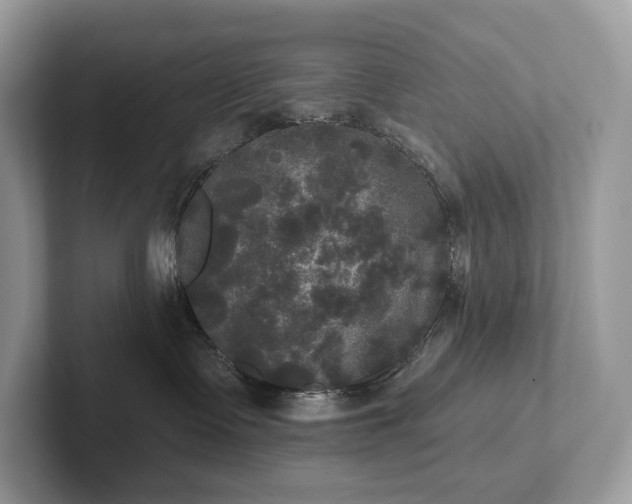 X0000101450335200807211318