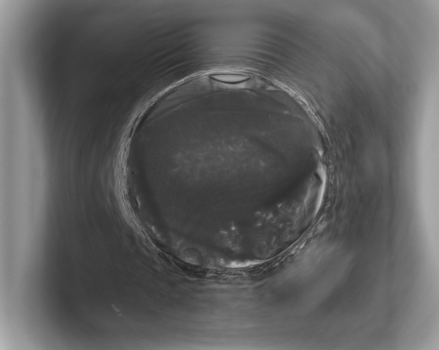 X0000101450337200807211317