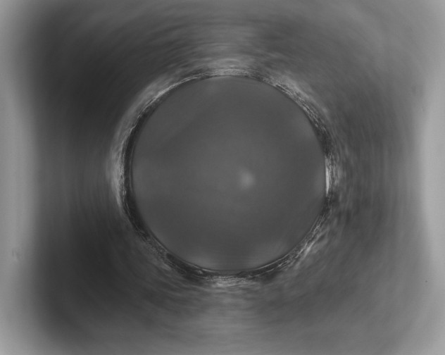 X0000101450339200807211317