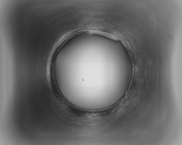 X0000101450340200807211317