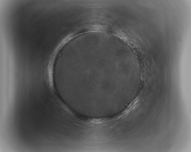 X0000101450341200807211317