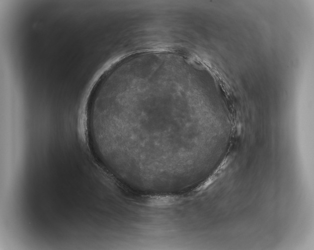 X0000101450342200807211317