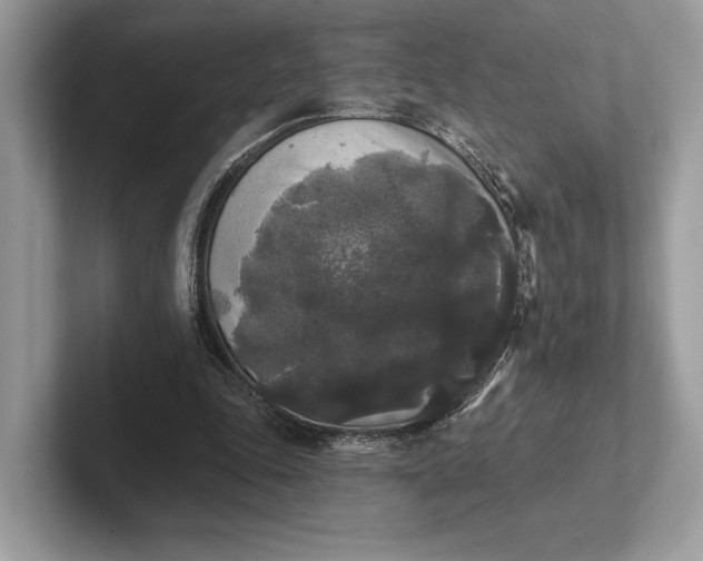 X0000101450343200807211317