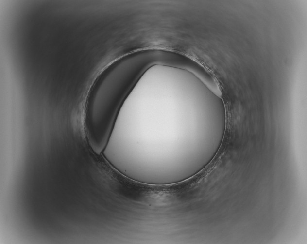 X0000101450344200807211317